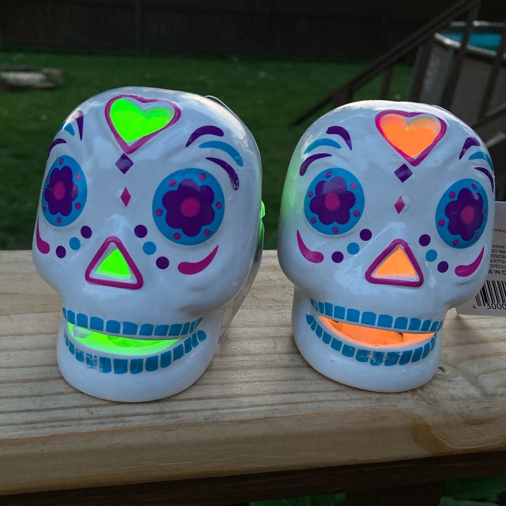 NWT Day Of The Dead LED Changing Skulls